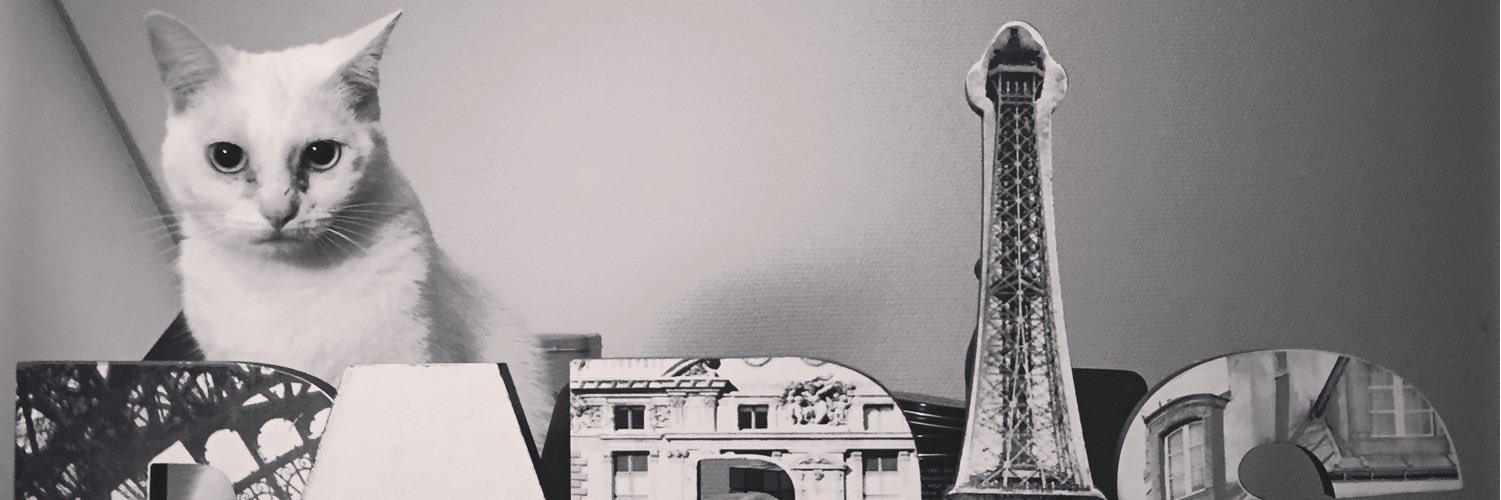 LesBrouillons's profile banner image