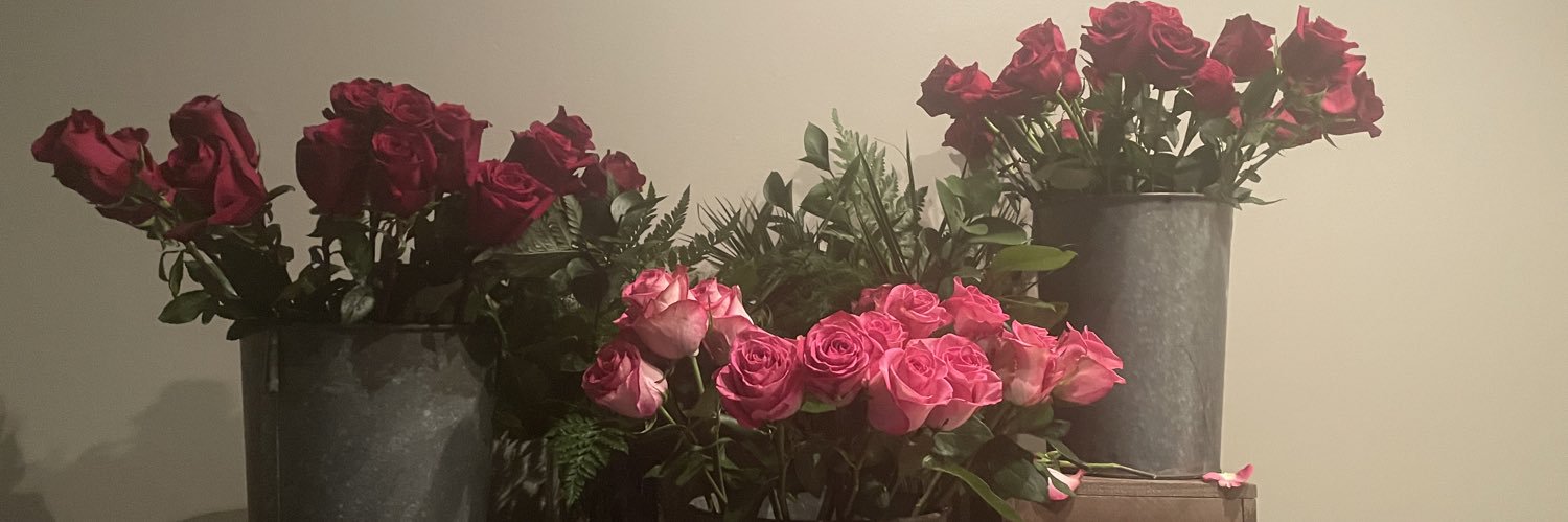 RandiEconomou's profile banner image