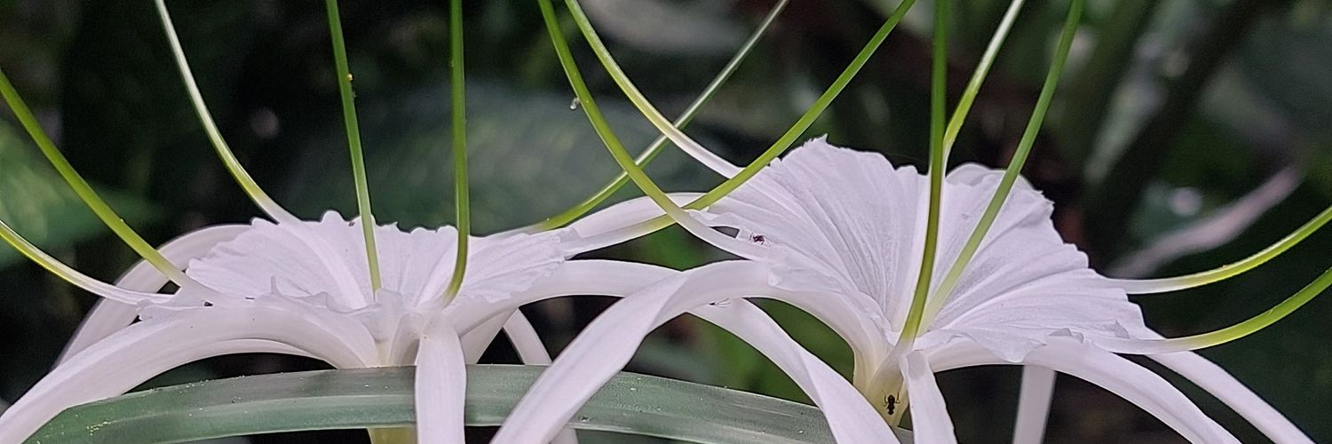 chundruuu's profile banner image