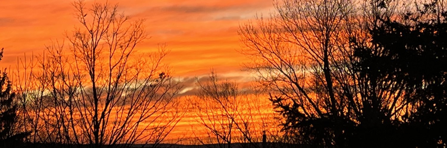 Kelly Robichaud banner