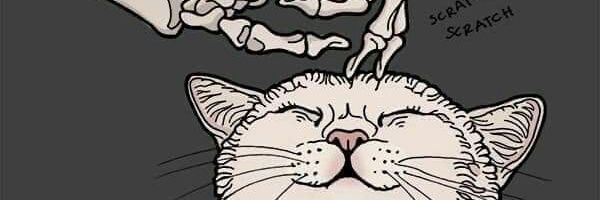 ceecysotoo's profile banner image