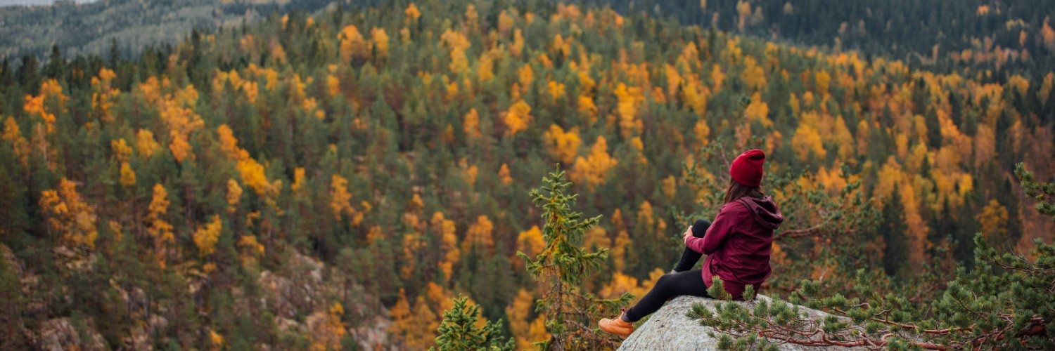 Finlândia no Brasil banner