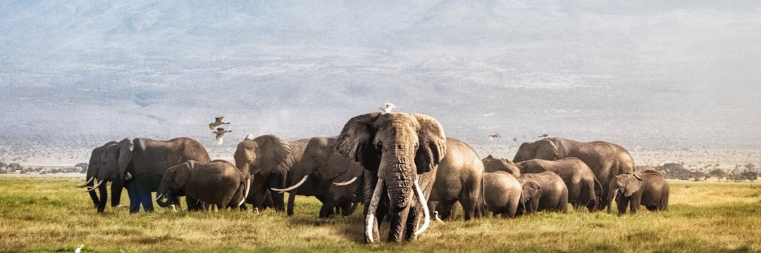 Polycarp27's profile banner image