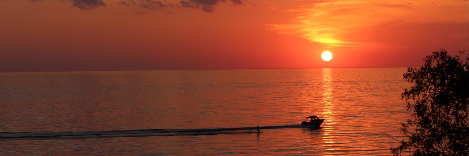 Julie NotleyGuevarra banner