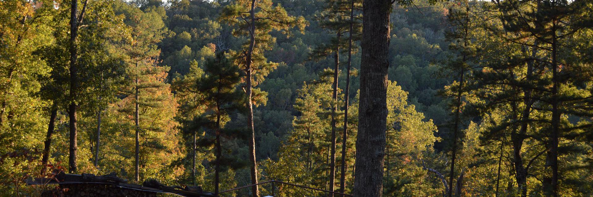 justinrbuchanan's profile banner image