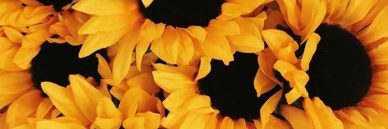 harmonwaubrey's profile banner image
