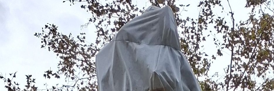 Tomi Damit banner