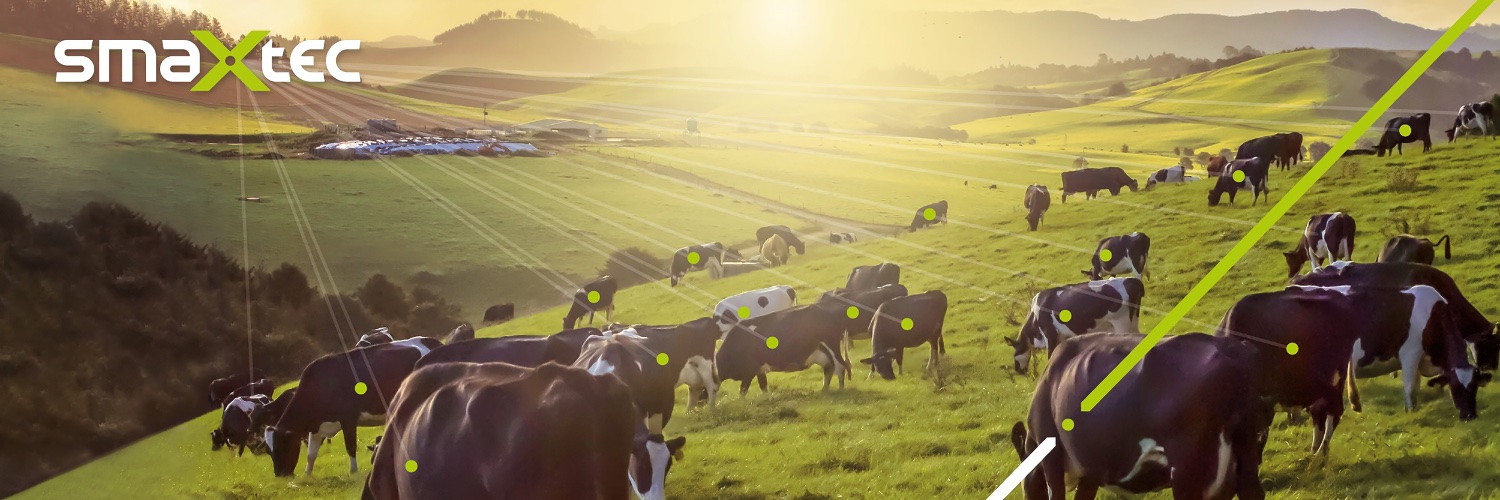 smaXtec banner
