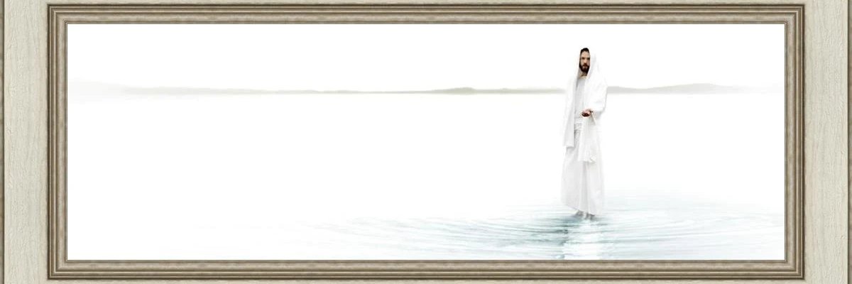 Lista Schwarz banner