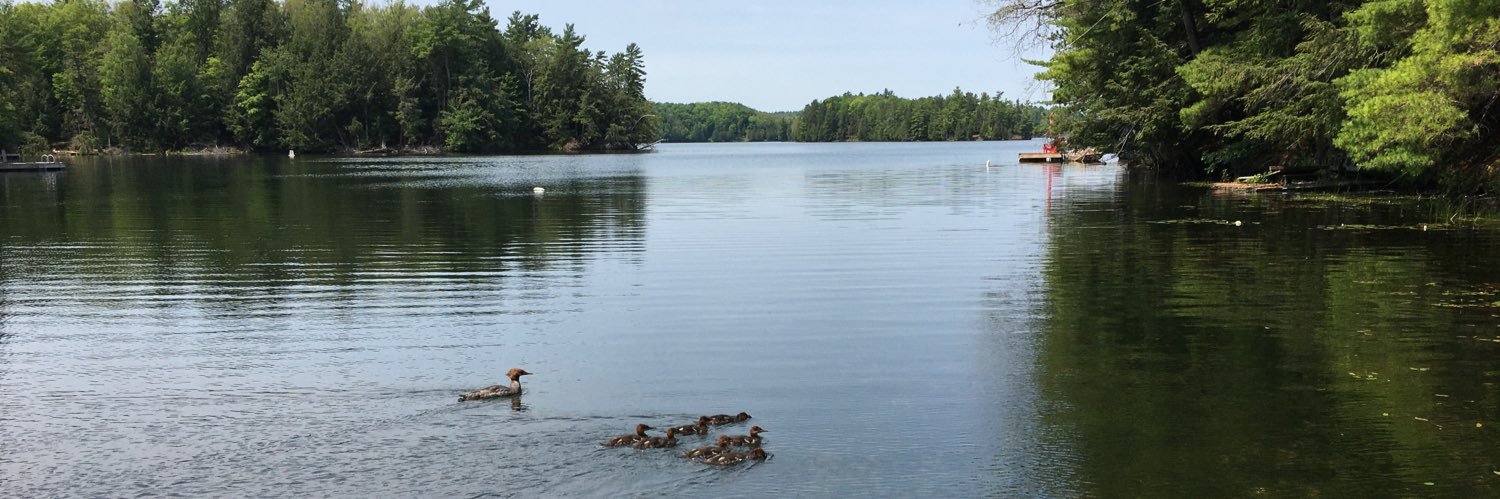 canoegal88's profile banner image