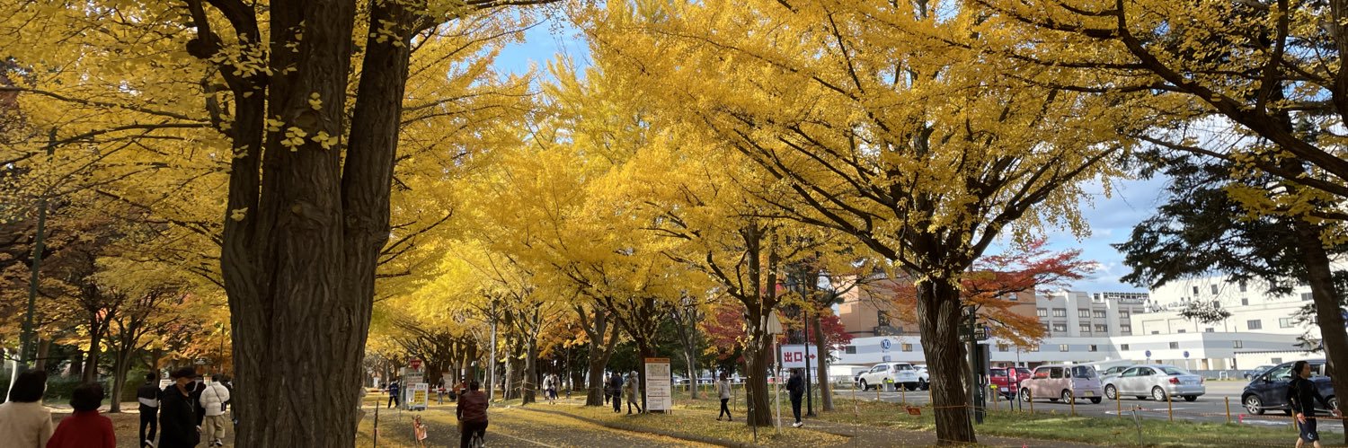 fuminumapanda's profile banner image