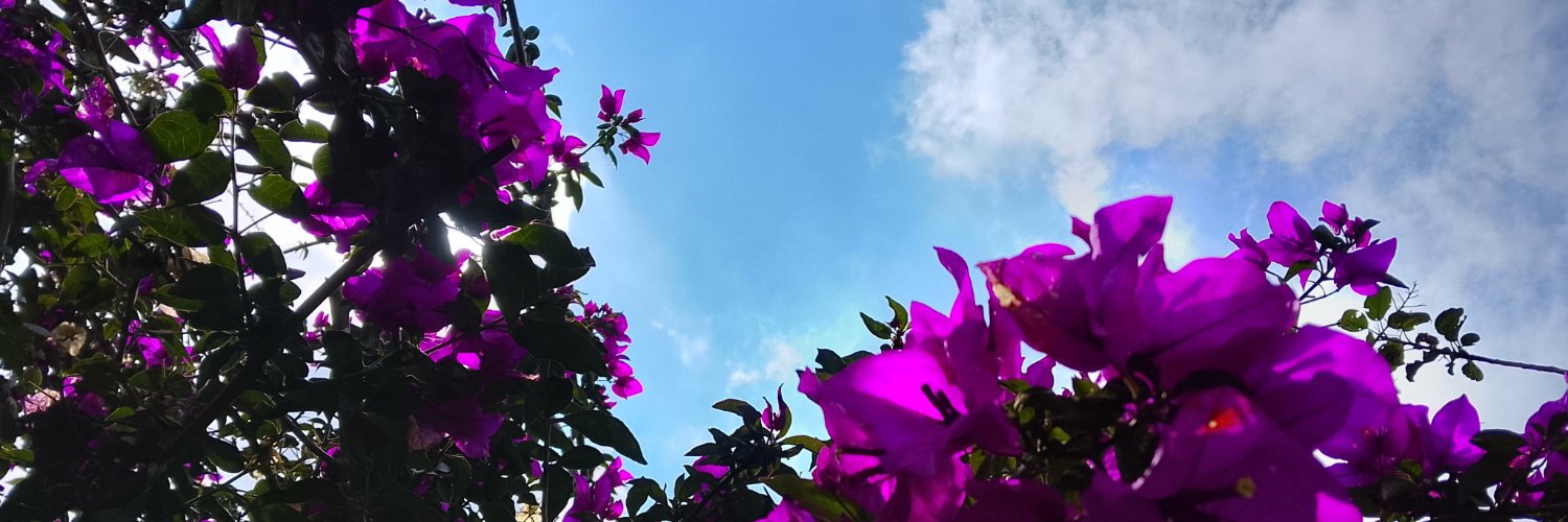 Arwtza's profile banner image