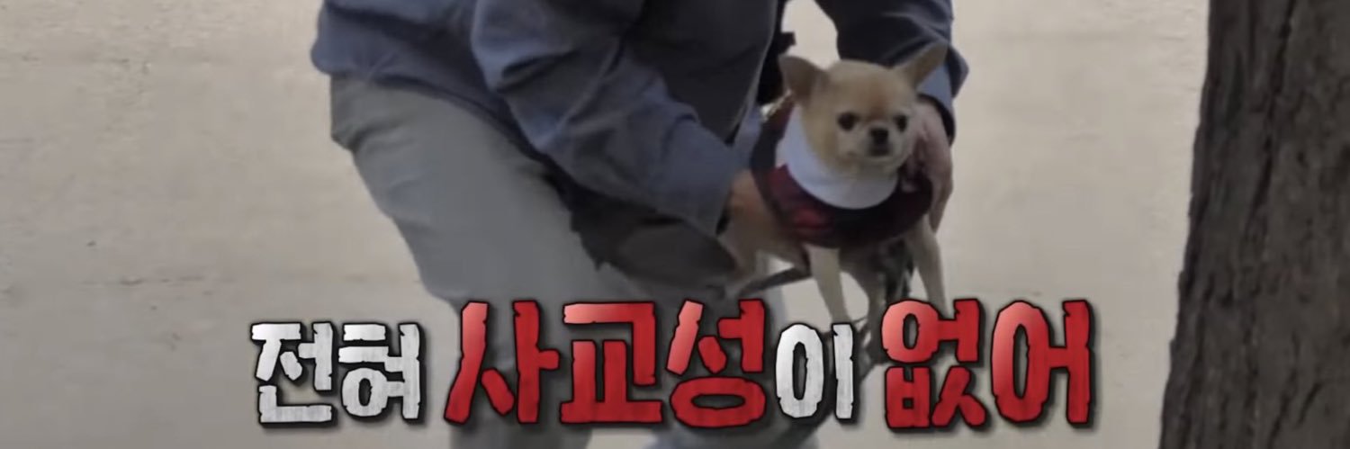 jiofkim's profile banner image