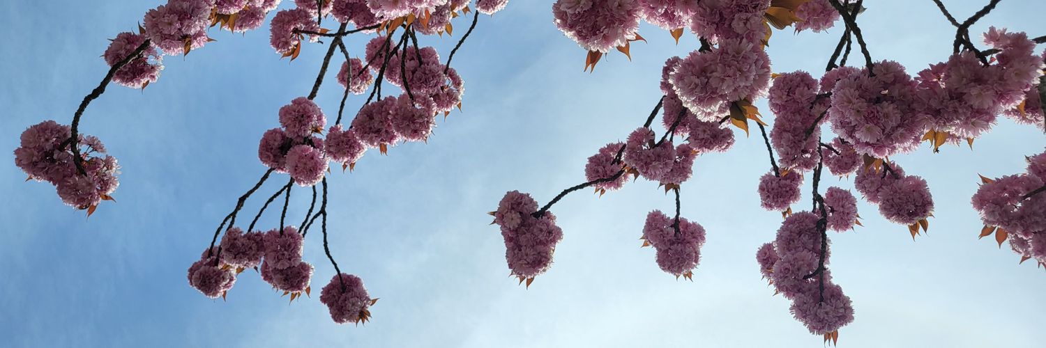 Ulliixyz's profile banner image