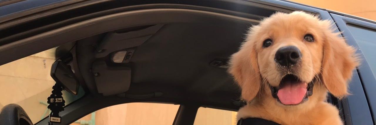 sanofii's profile banner image