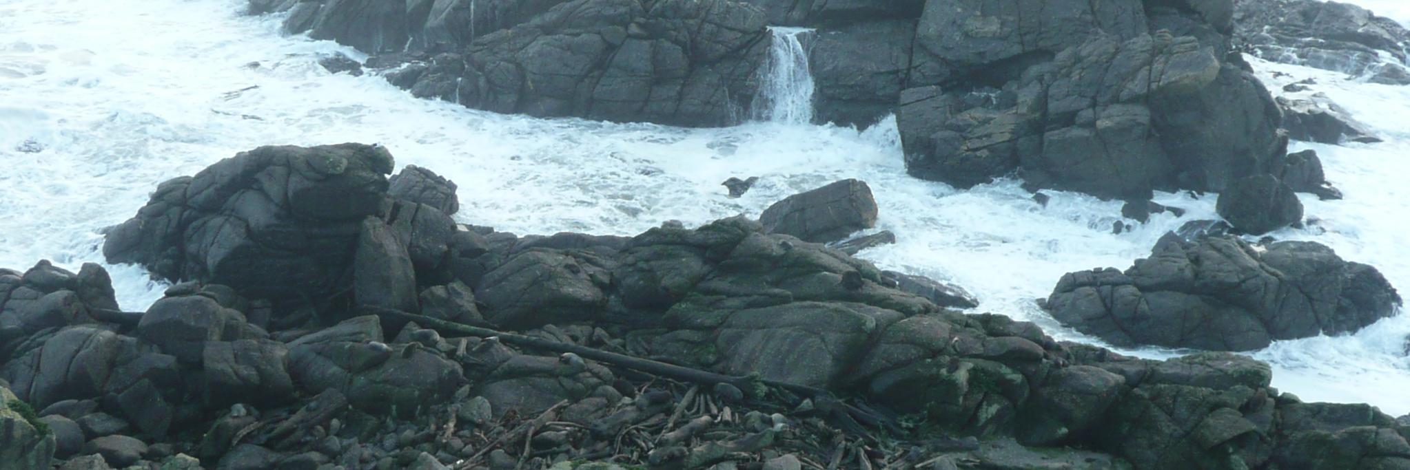 kenbeckles's profile banner image