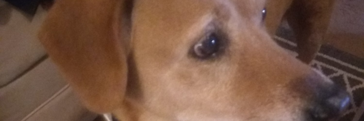 Jurny's profile banner image