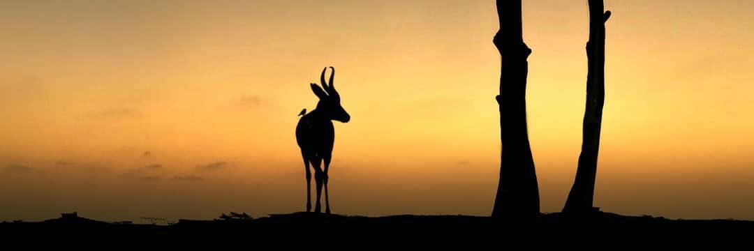 Soto_Cyripto's profile banner image