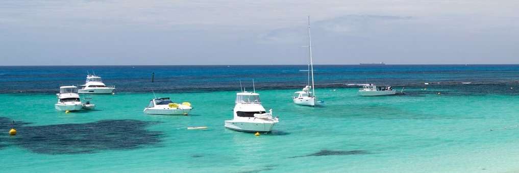 Nudge 🇦🇺🇦🇺 banner