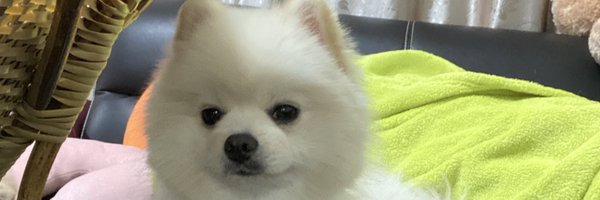 NerLear Profile Banner