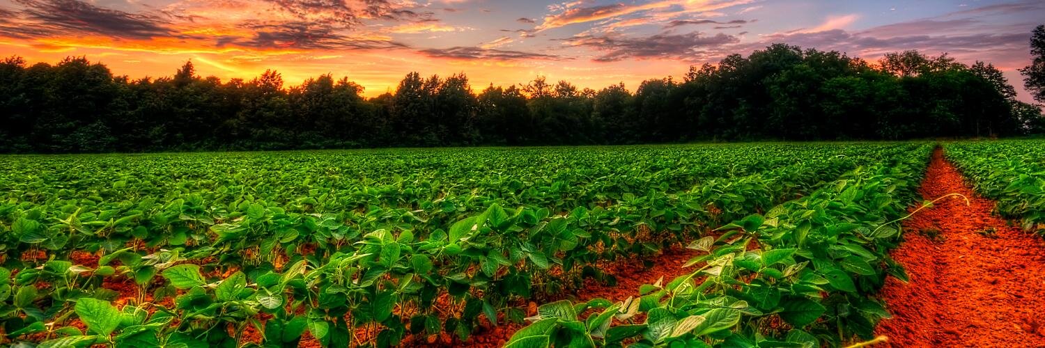 SustainableWT's profile banner image