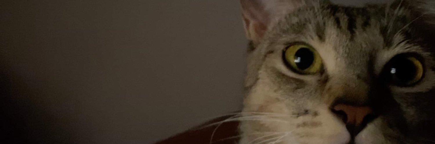 jchrnt's profile banner image
