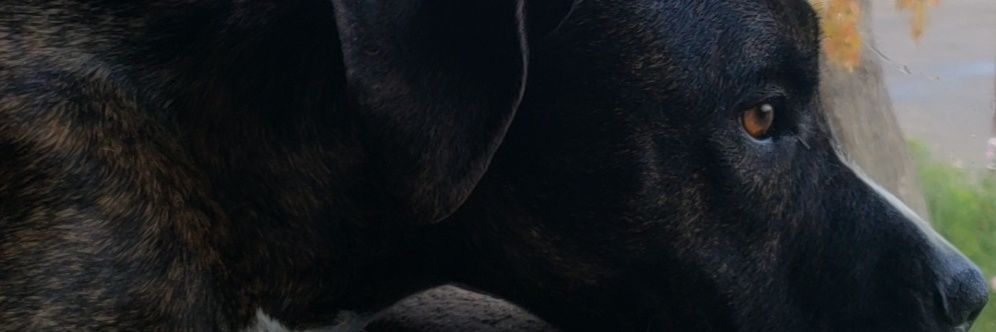 nikee155's profile banner image