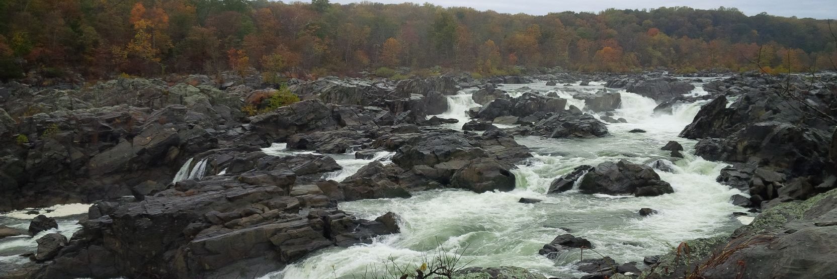 Eric Morrissette banner