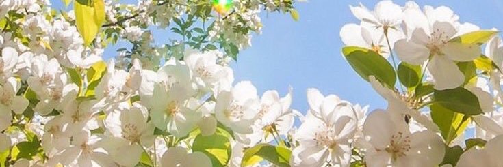 80nt_'s profile banner image
