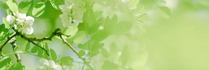 san_0319's profile banner image
