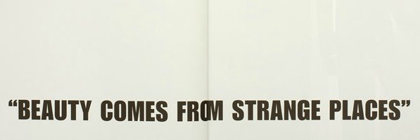 gabinhosss's profile banner image