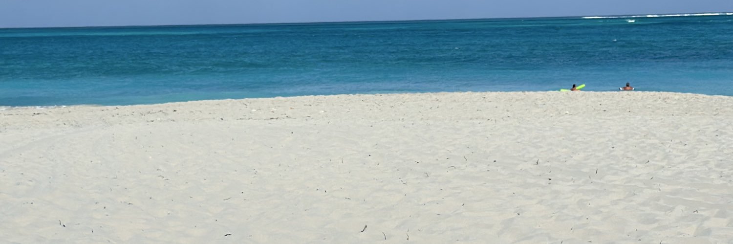 DianneLFraser's profile banner image