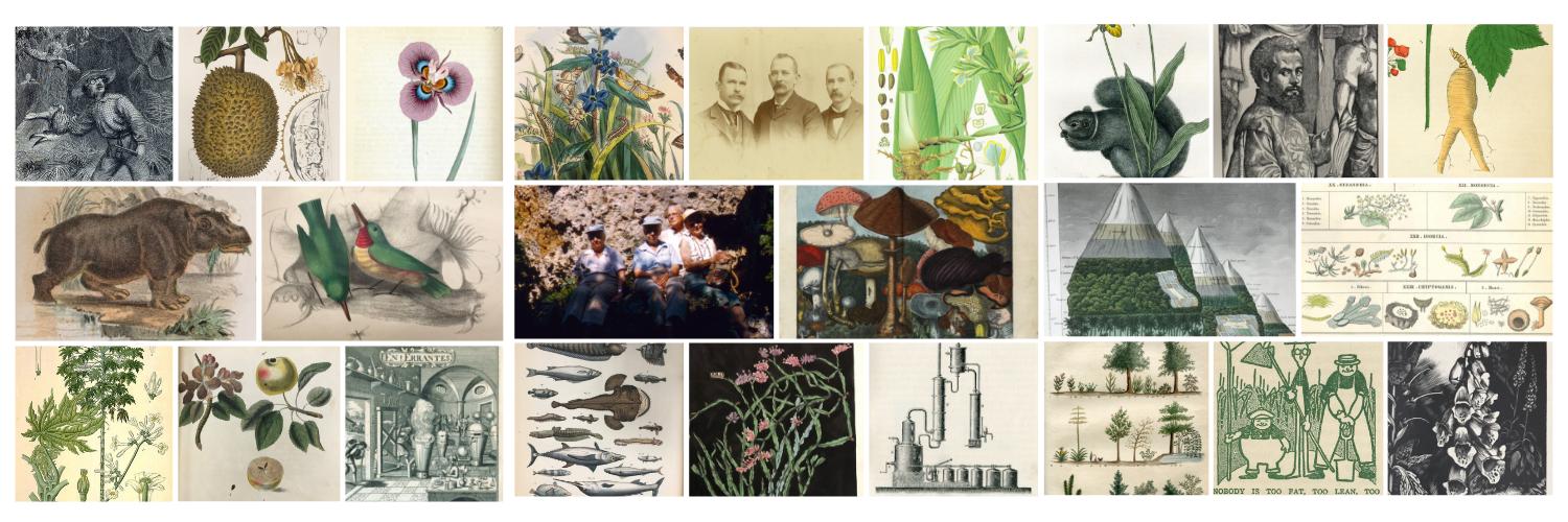 Lloyd Library banner