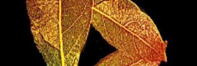 Outta_ Here banner
