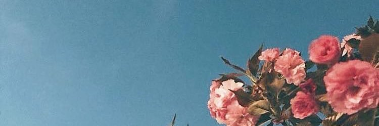 utrulz's profile banner image