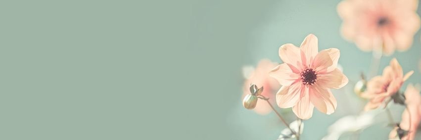 marthaalva_'s profile banner image