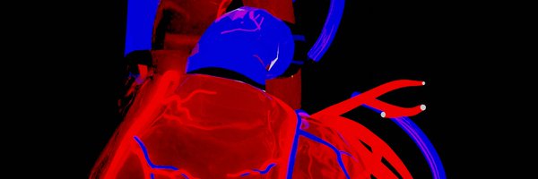 Saga_Slayer_ Profile Banner