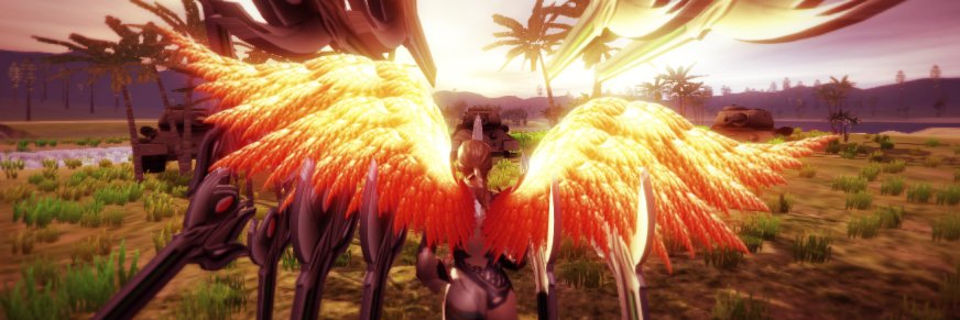 phinihoa's profile banner image