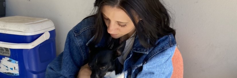 lexicurryy's profile banner image