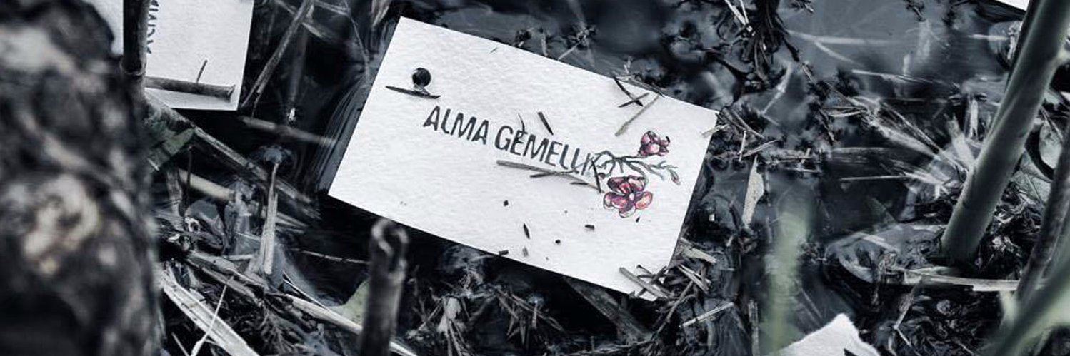 AlmaGemelli's profile banner image
