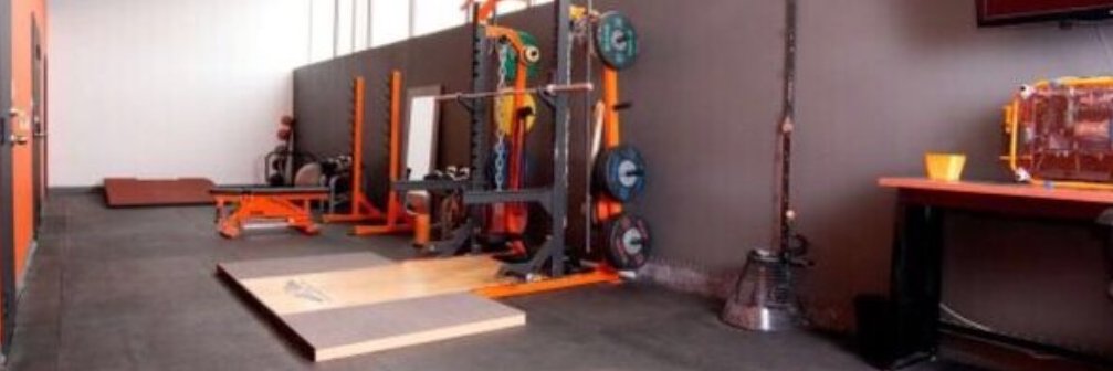 ThePerformanceL's profile banner image