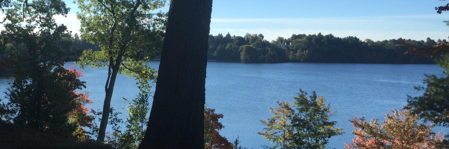 Wellesleytennis's profile banner image