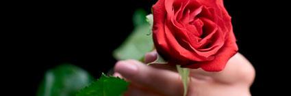 mfysaidy's profile banner image