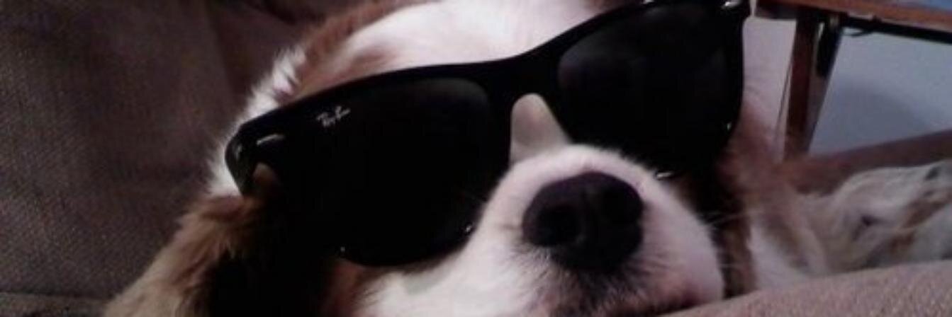 Guiz_Lima's profile banner image