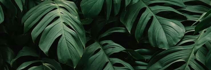 _rrainboww_'s profile banner image