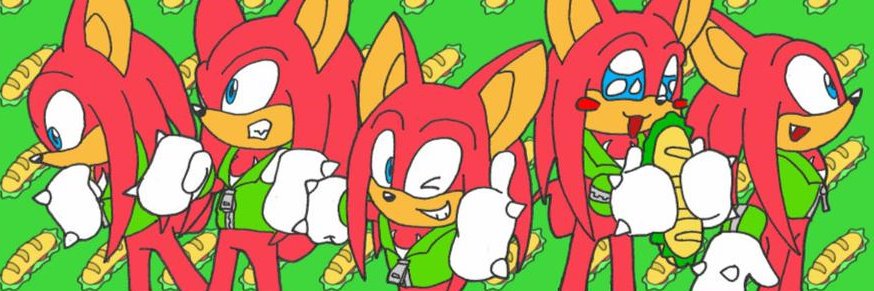 MaxEchidnaBat's profile banner image