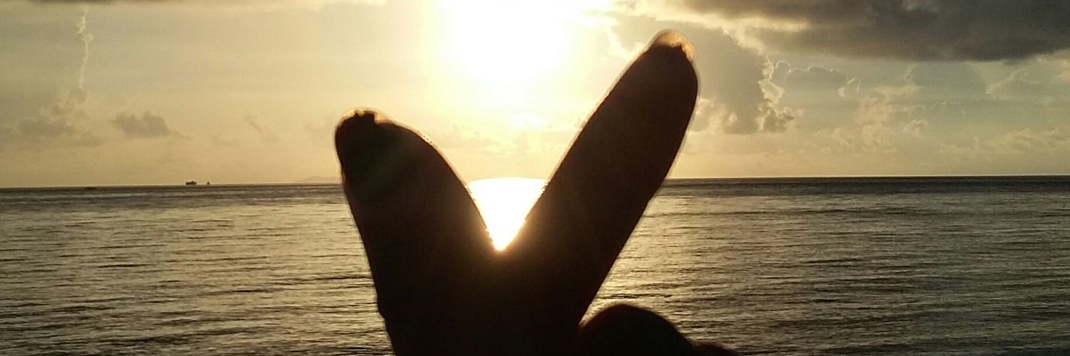 Octafien02's profile banner image
