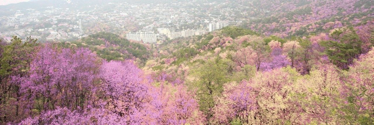 lightless_twt's profile banner image