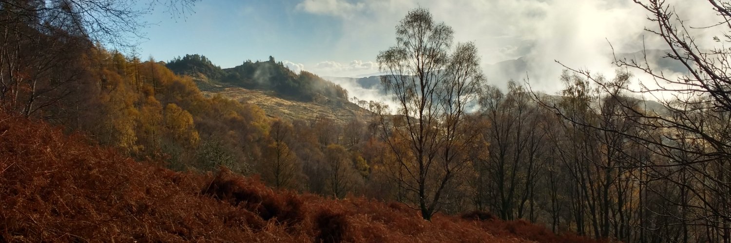 L__Fraser's profile banner image