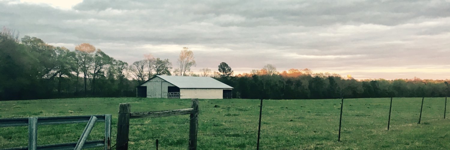 BlackmonMallory's profile banner image